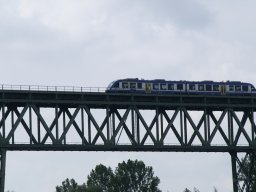 Privat &raquo; 2013 - Adonia